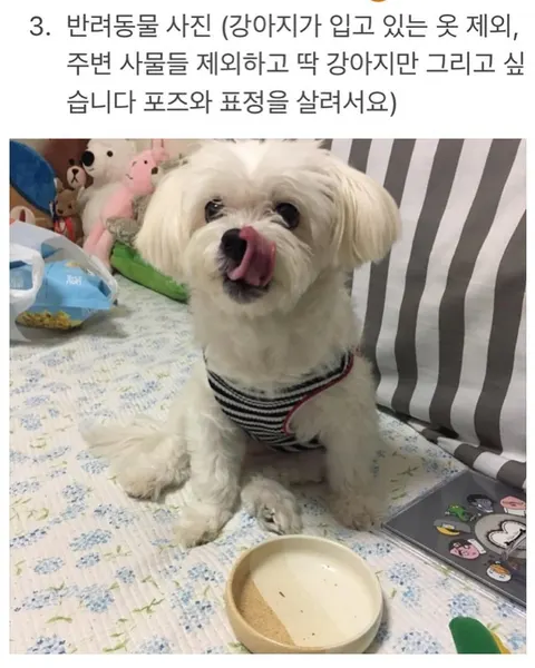 Mini, Animal