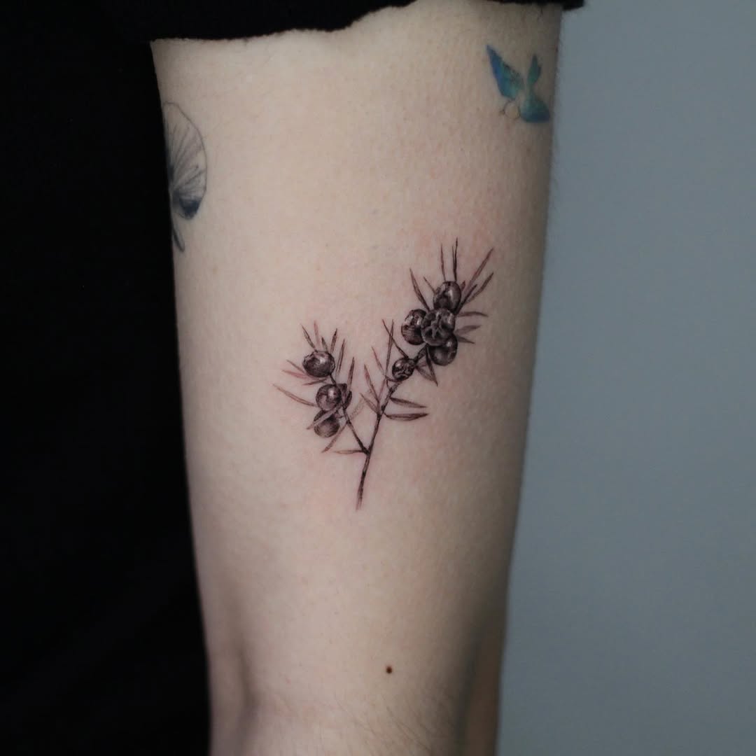 40.tatt
