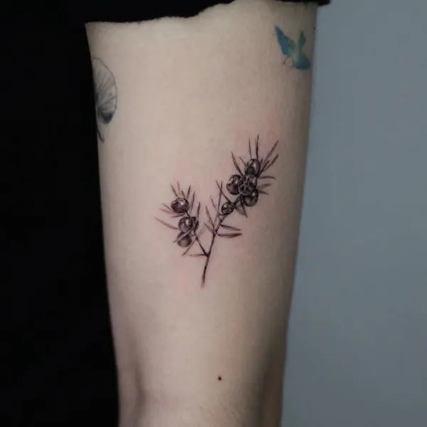 40.tatt