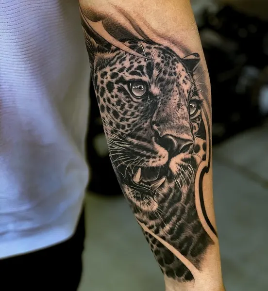 Animal