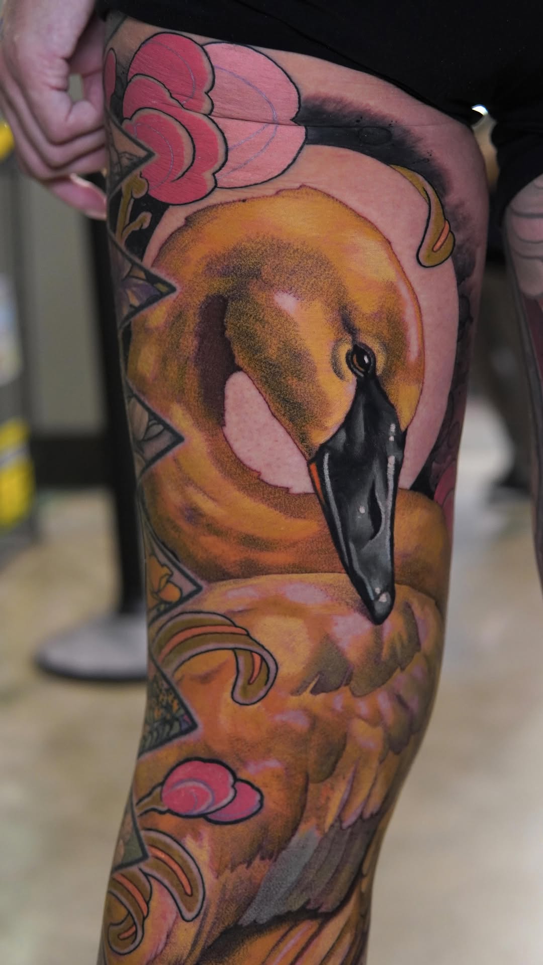 Animal