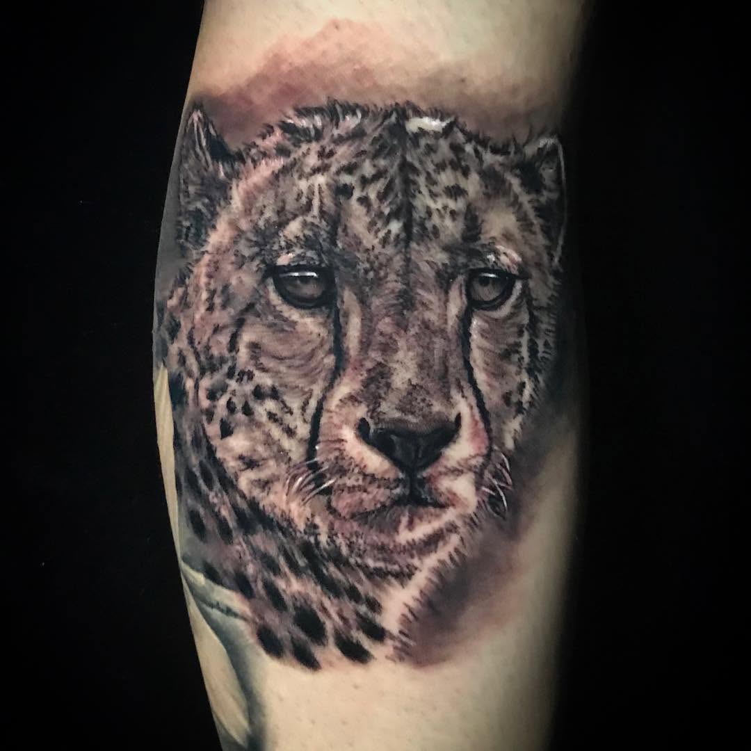 Animal