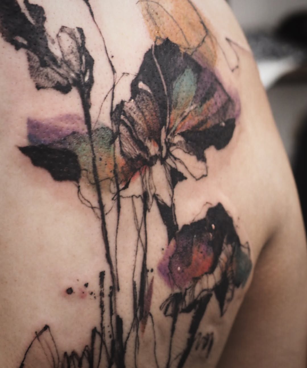 Flower, Nature, Rose