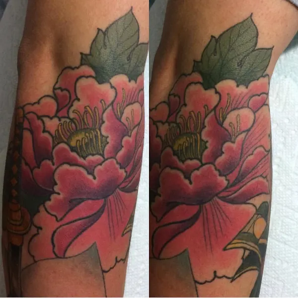 Flower, Rose