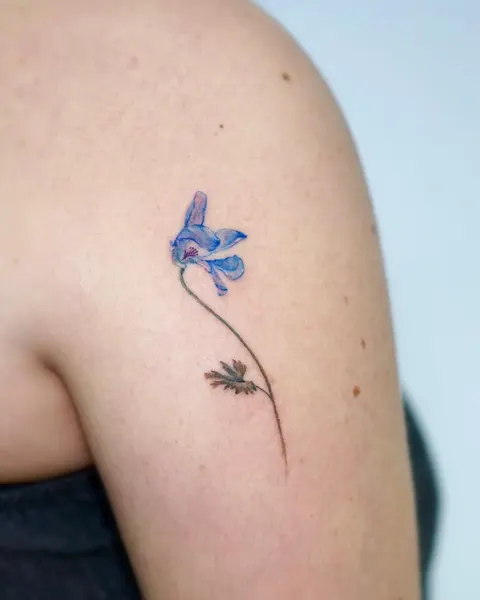 Flower, 아이리스, 백합, 난초, 튤립