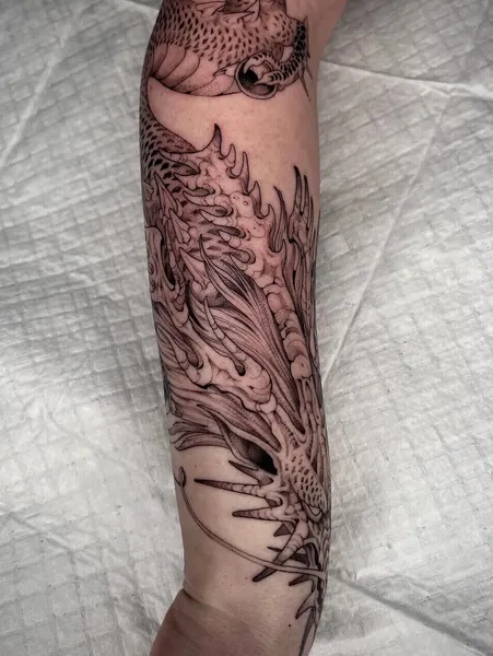 Dragon