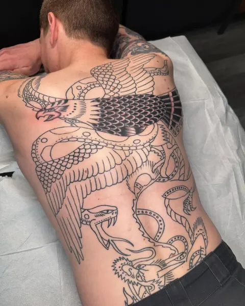 Animal, Tiger, 팬서