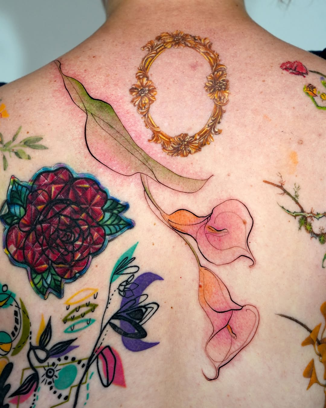 Rose, Nature, Flower