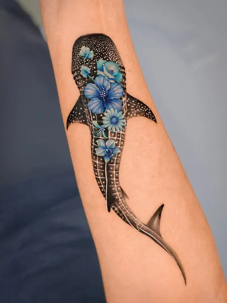 Nature, 잠자리, 매미, Animal