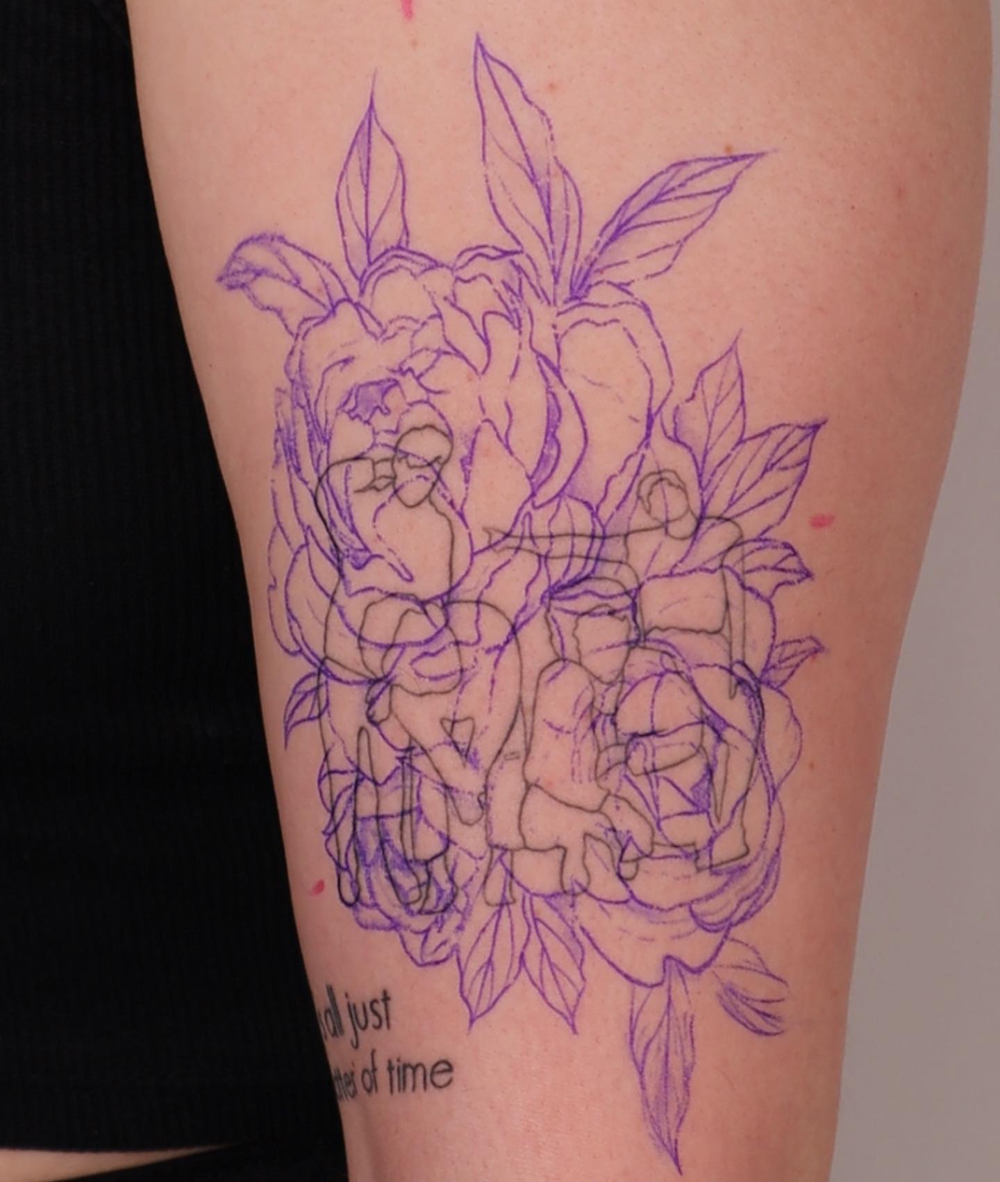 Flower, Rose, Nature