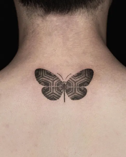 equilattera