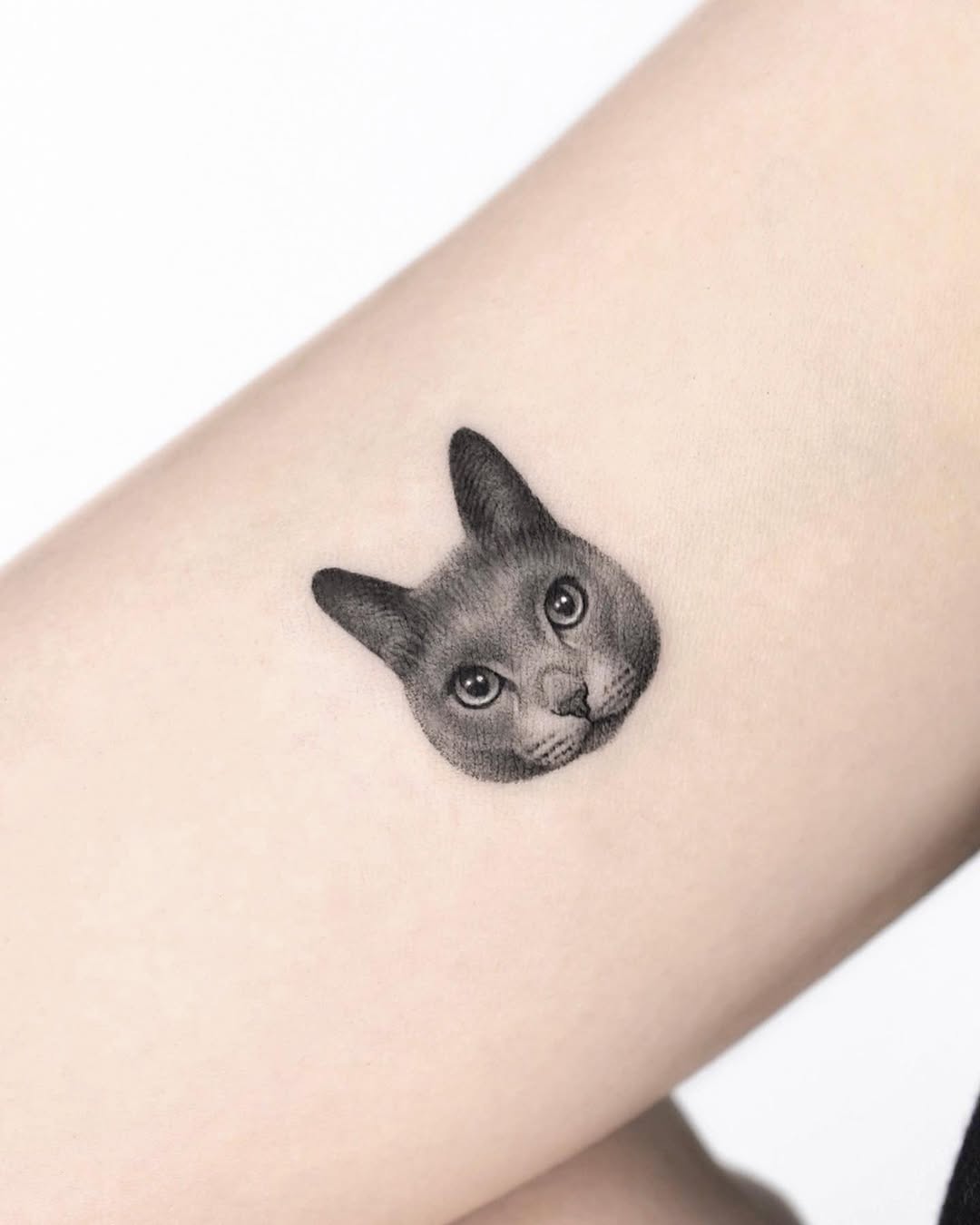 dorok.tattoo