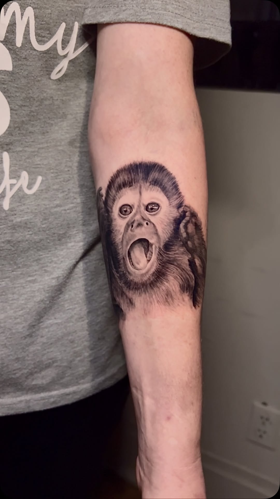 Animal, Tiger, 원숭이, 고릴라