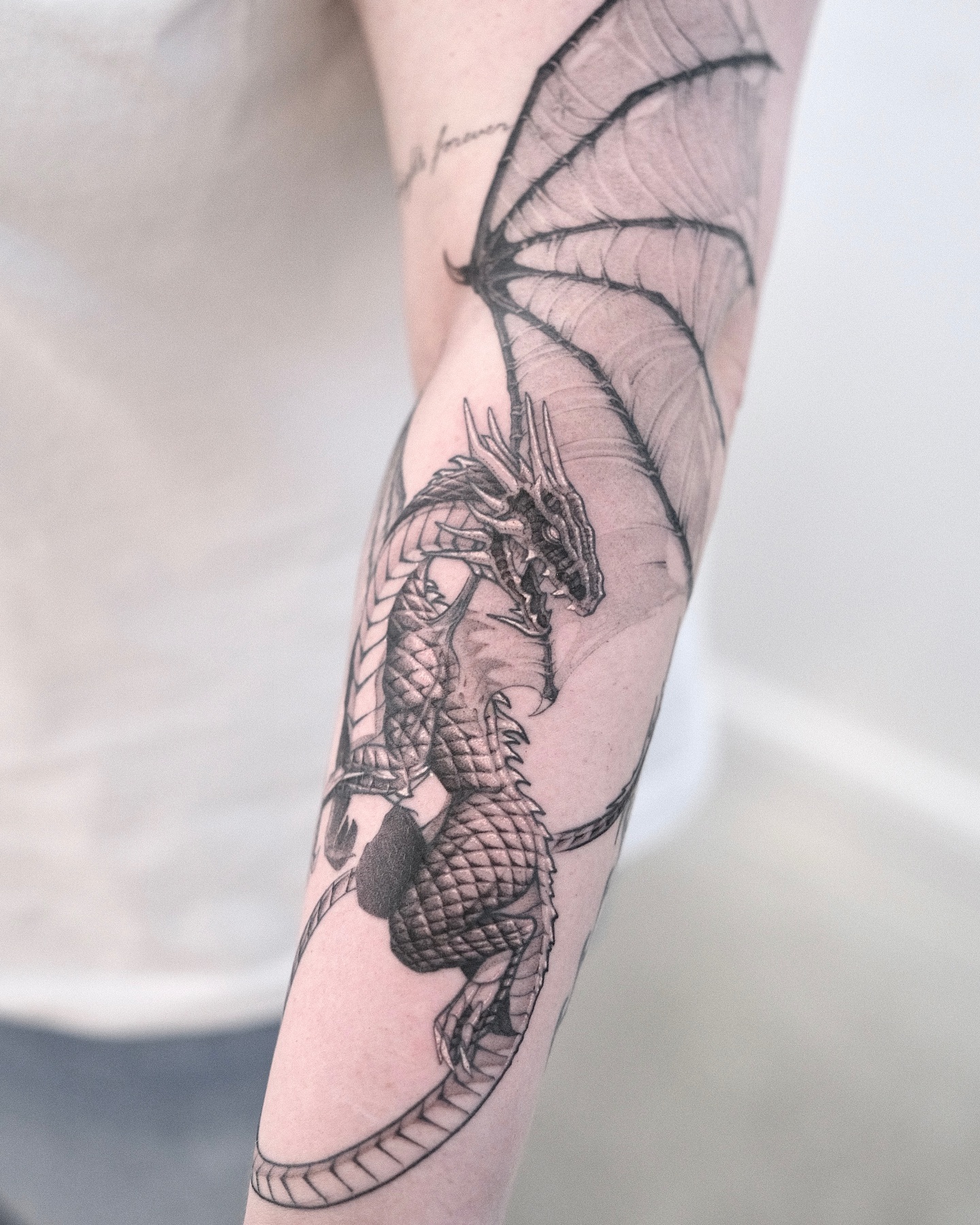 Dragon