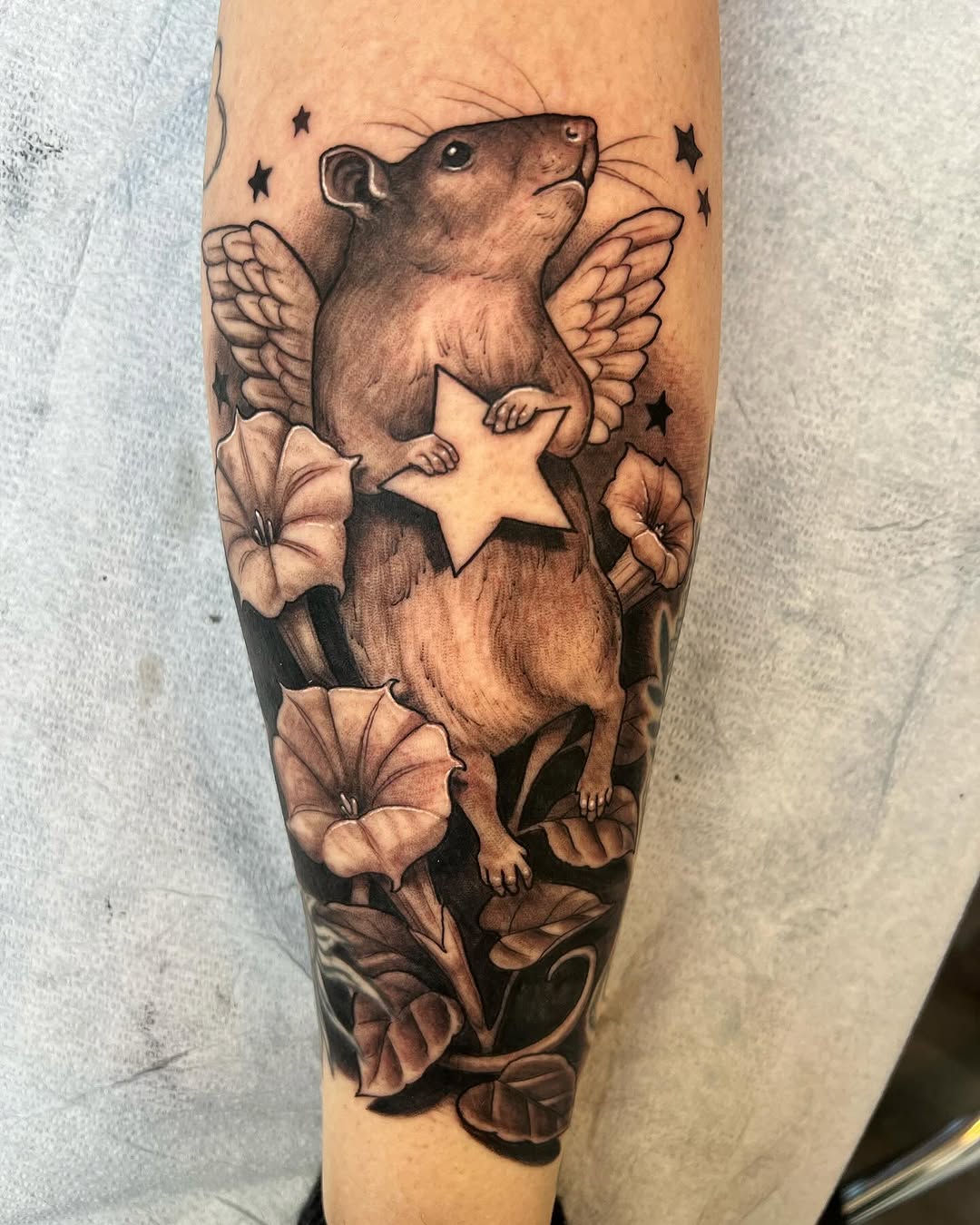 shawn_hebrank