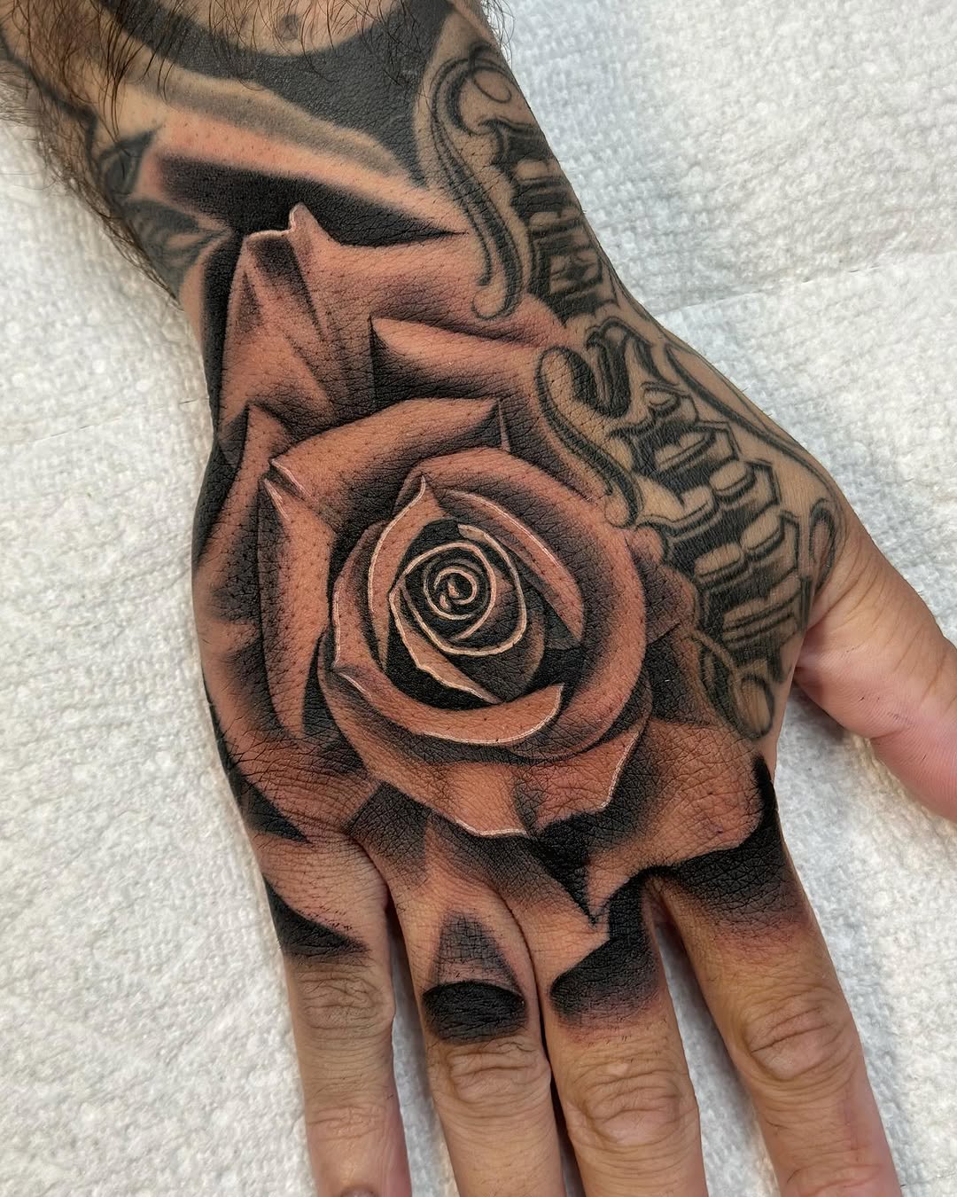 Flower, Rose