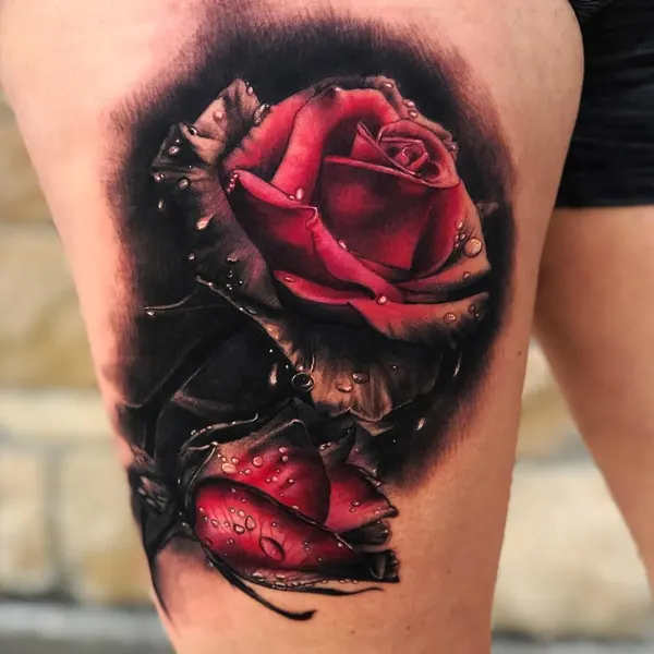 Flower, Rose