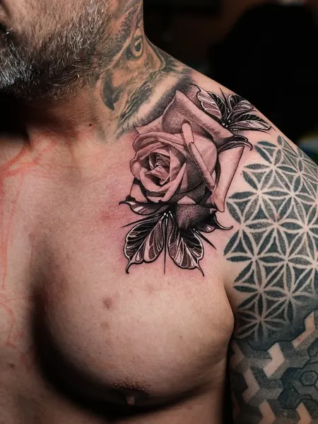 Flower, Nature, Rose