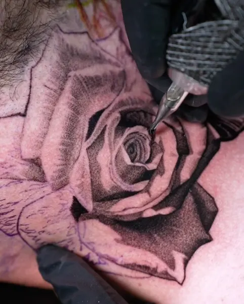 Flower, Rose, Nature