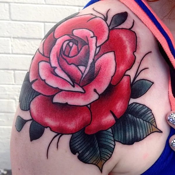 Rose, Flower, Nature