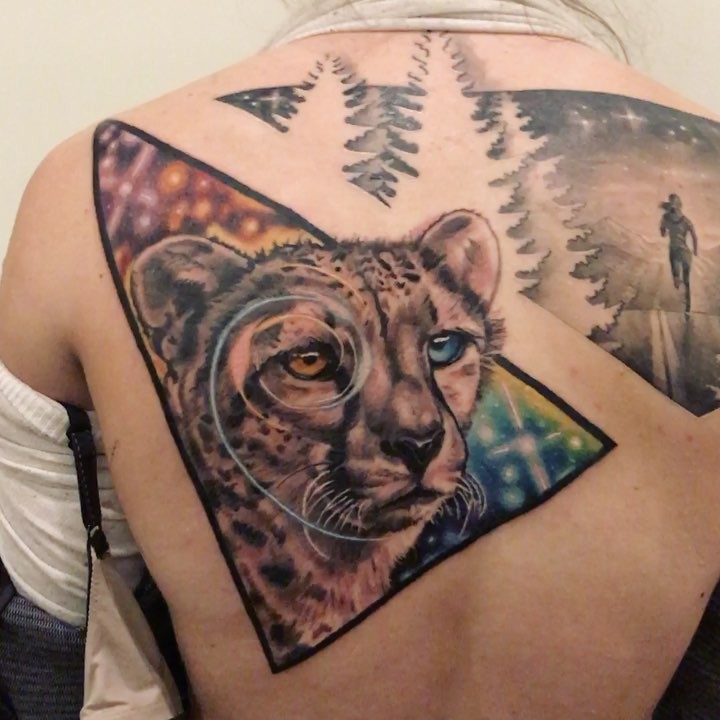 Animal, Tiger