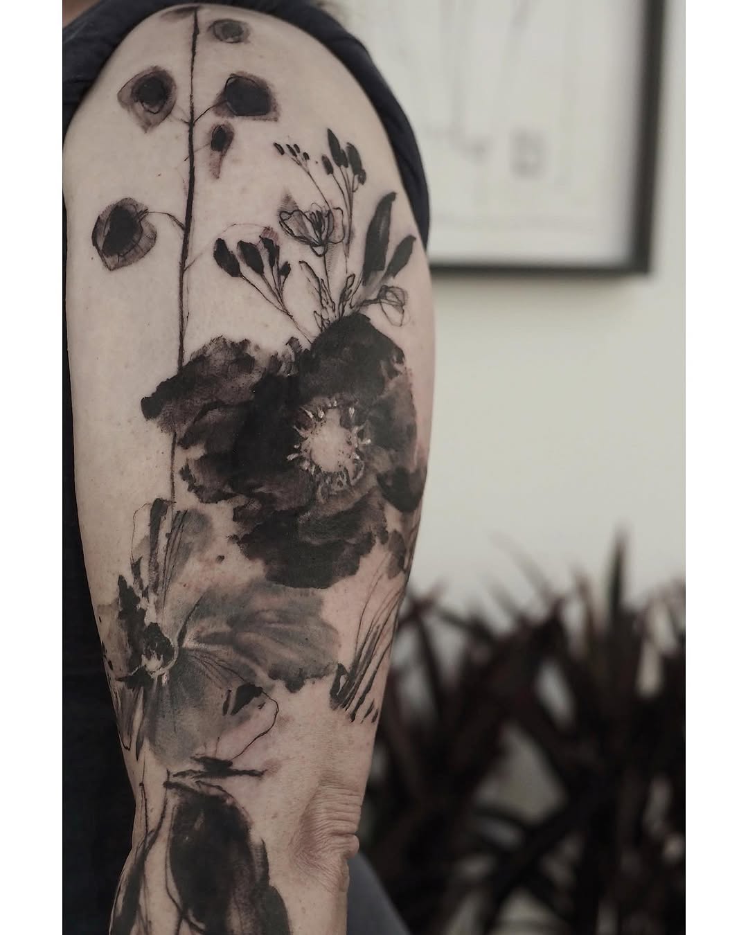 Flower, Rose, Nature