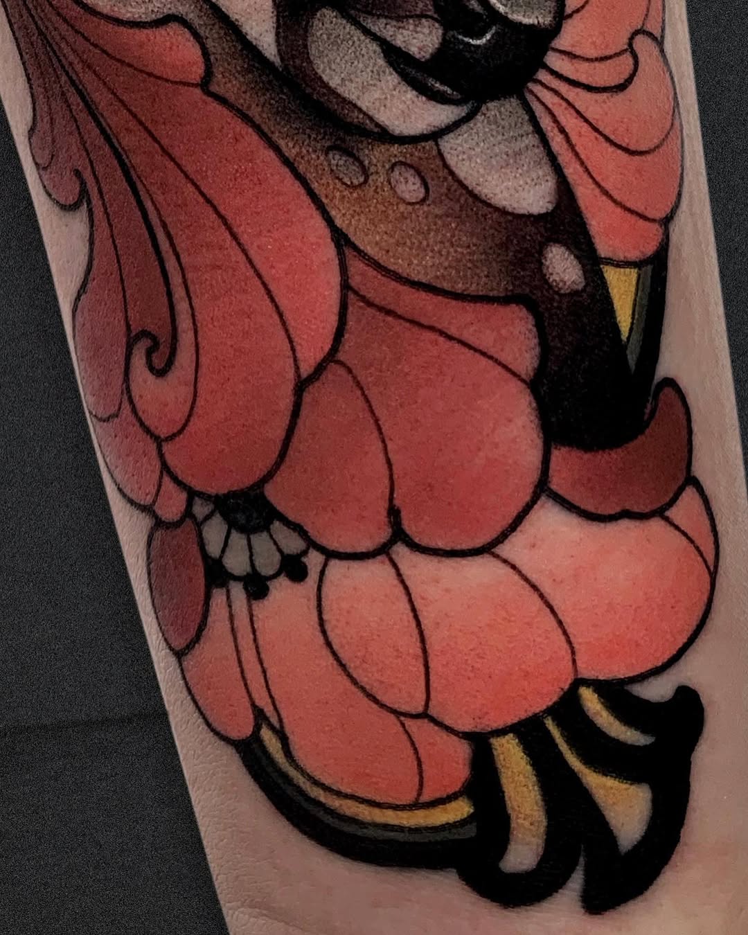 Animal, 여우