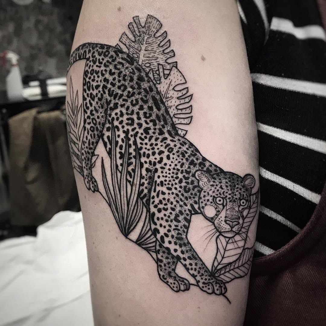 Animal, Tiger