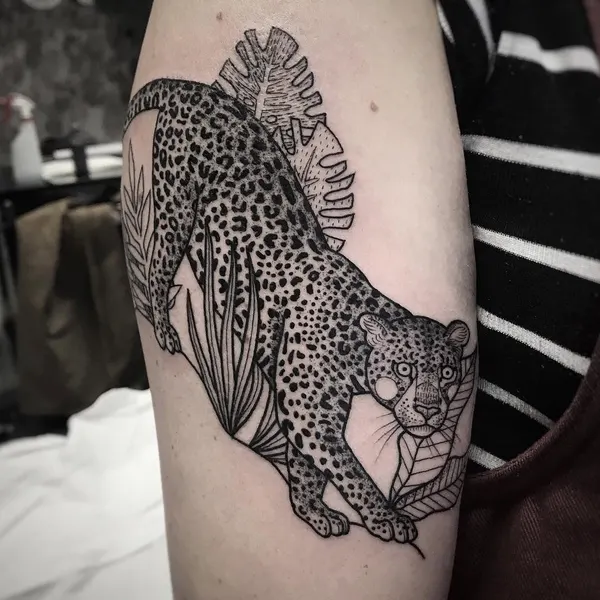 Animal, Tiger