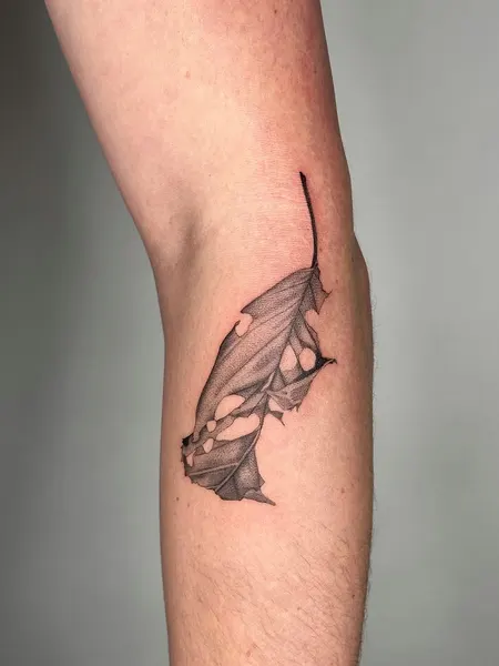 Flower, Rose, 은행잎