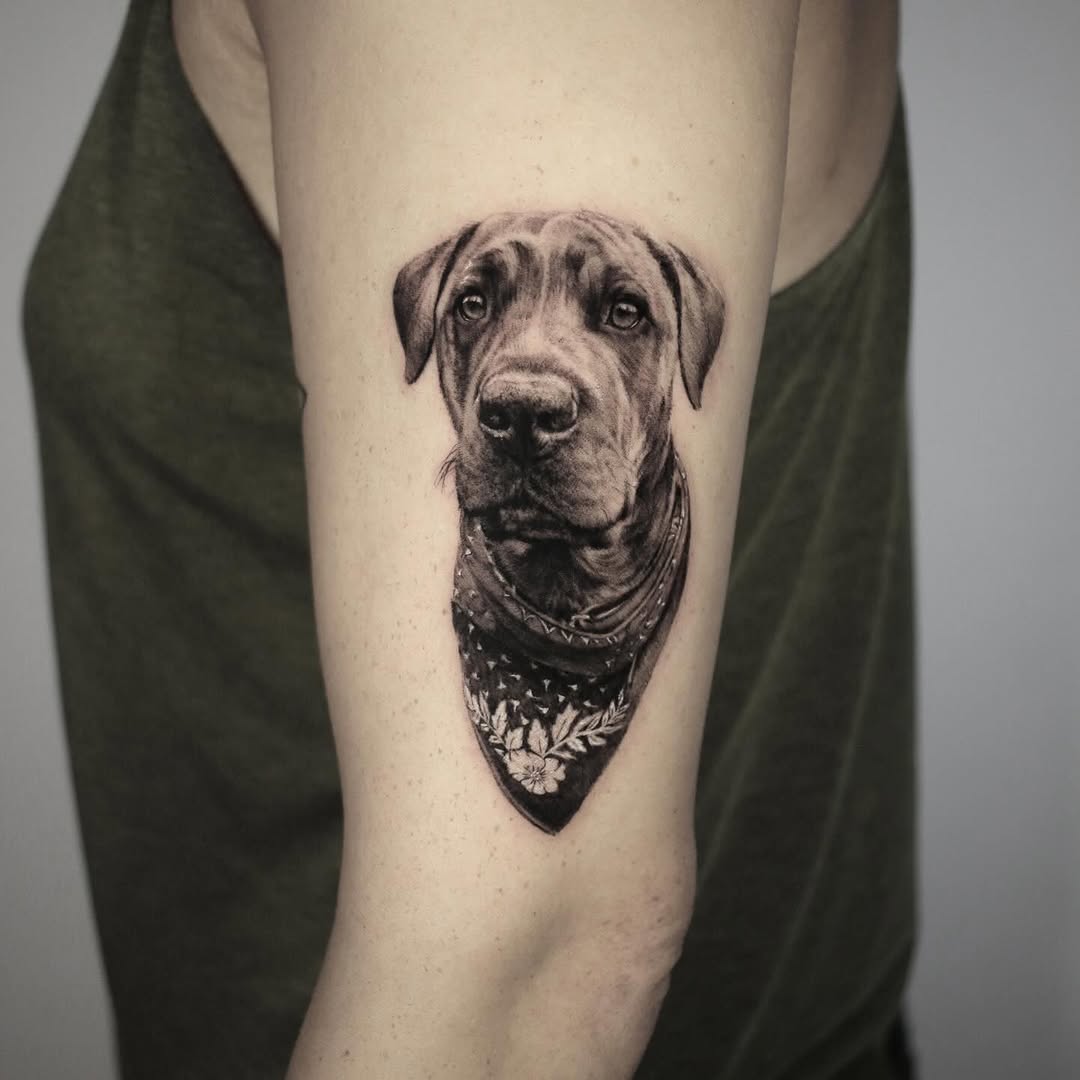 Animal