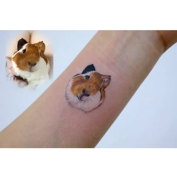 Animal