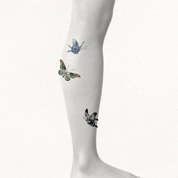 Nature, Animal