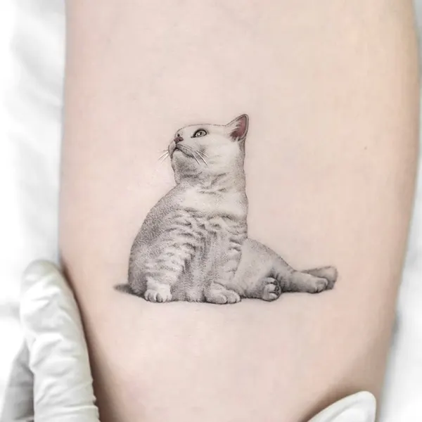 dorok.tattoo