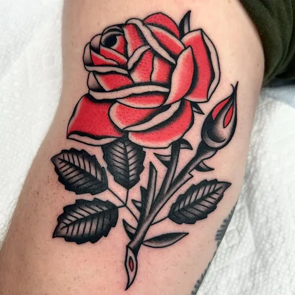 Flower, Rose, Nature