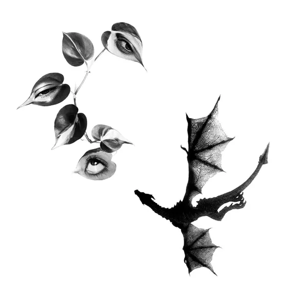 plantsnpokes