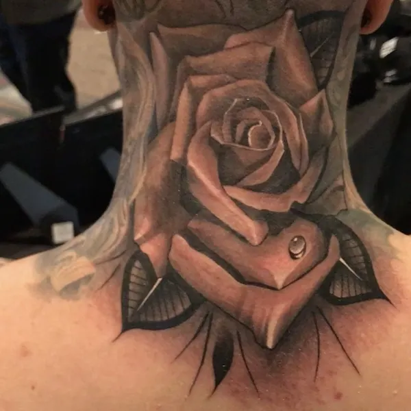 Flower, Rose, Nature
