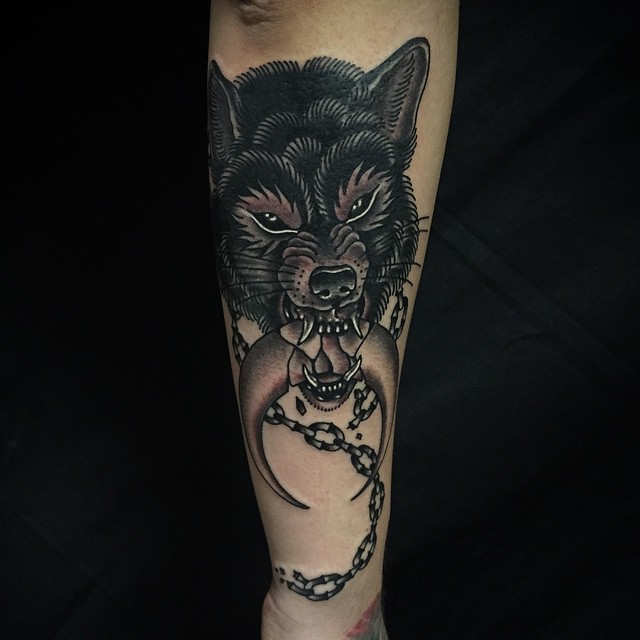 Animal, Tiger