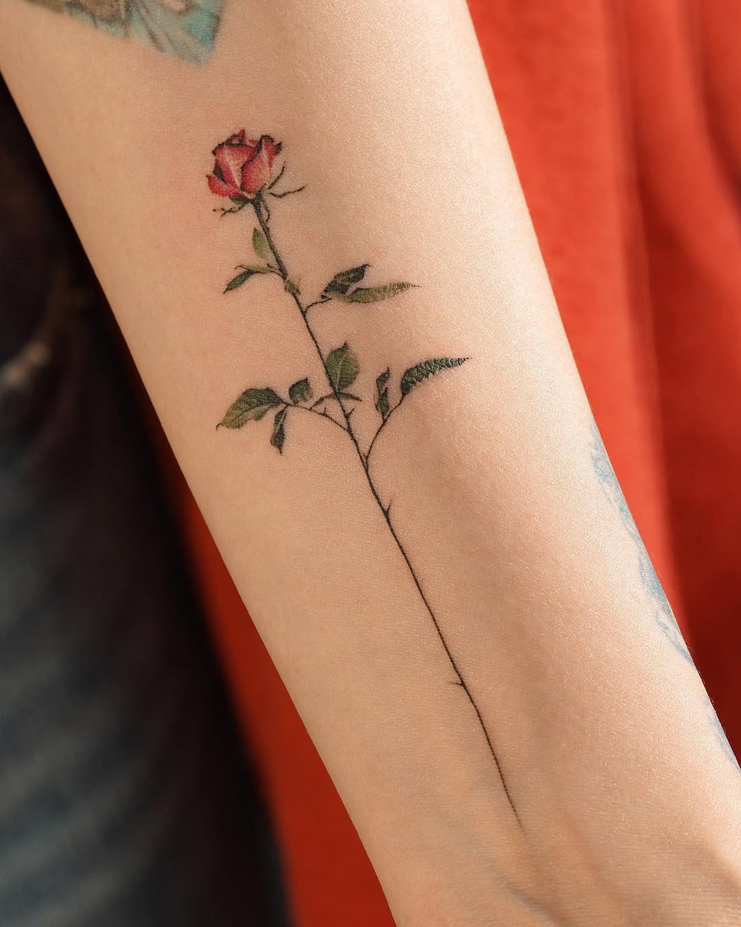Rose, Flower