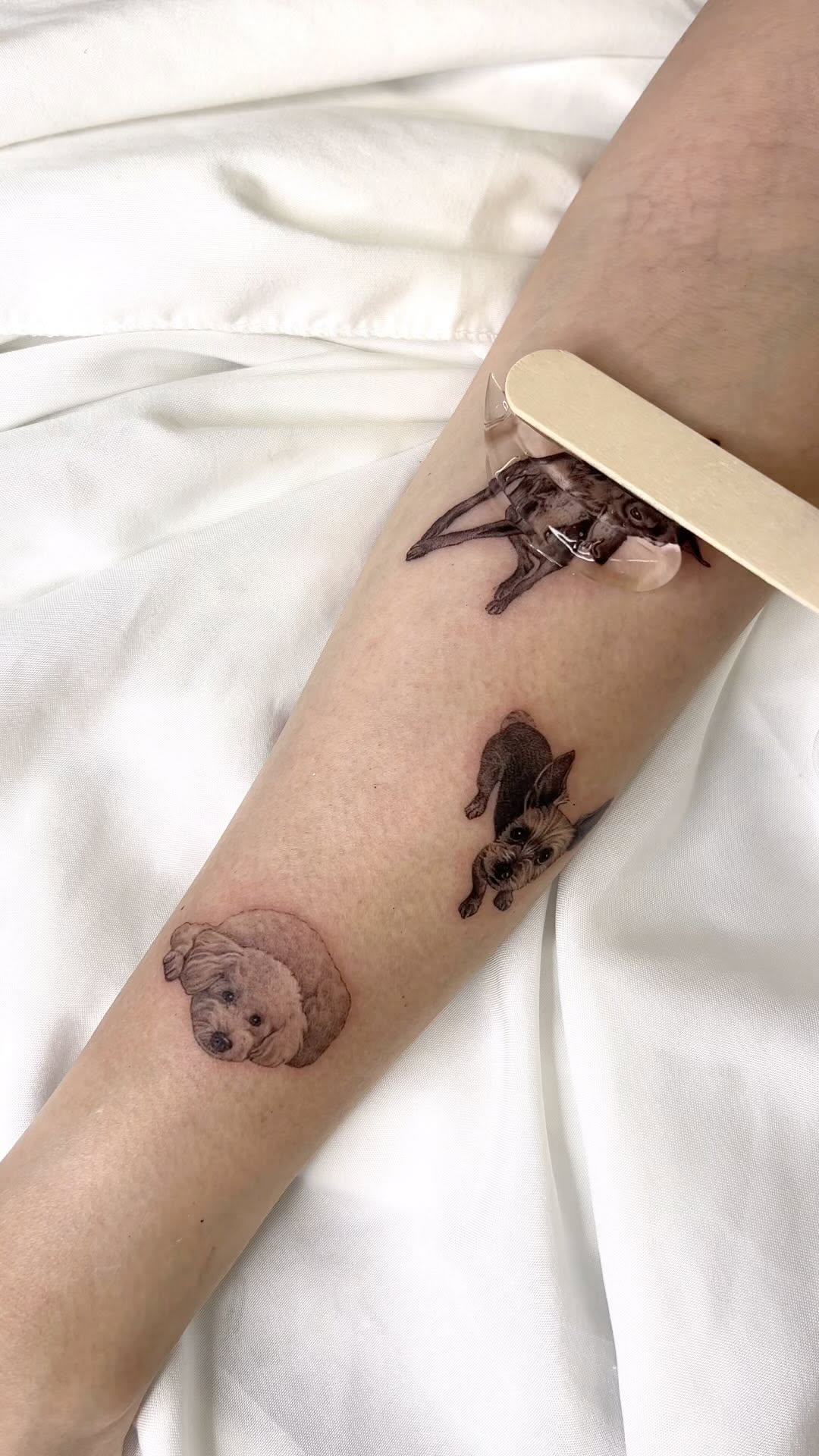 dorok.tattoo