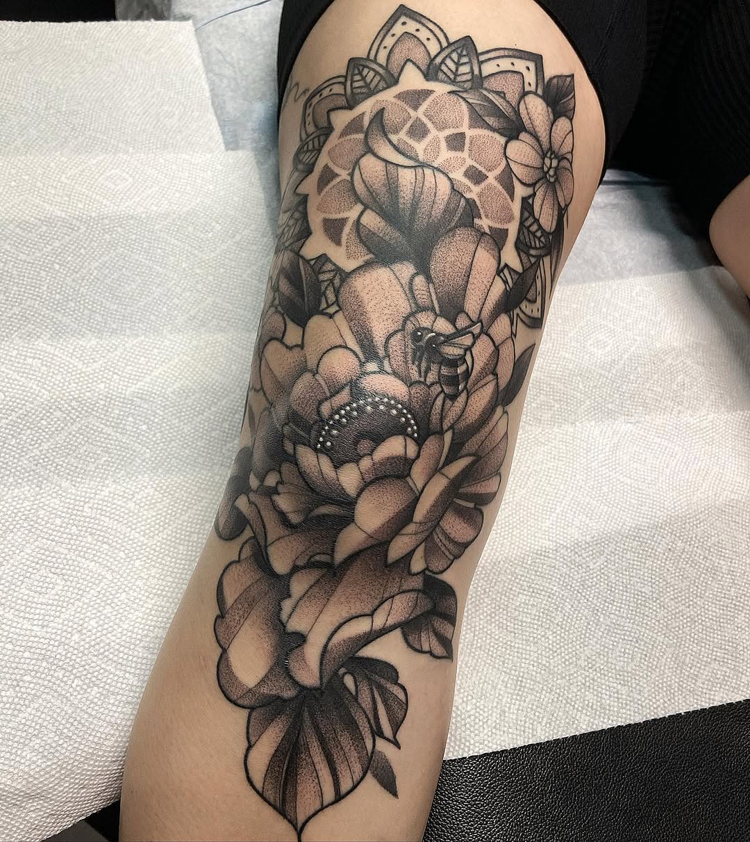 sarastigmata