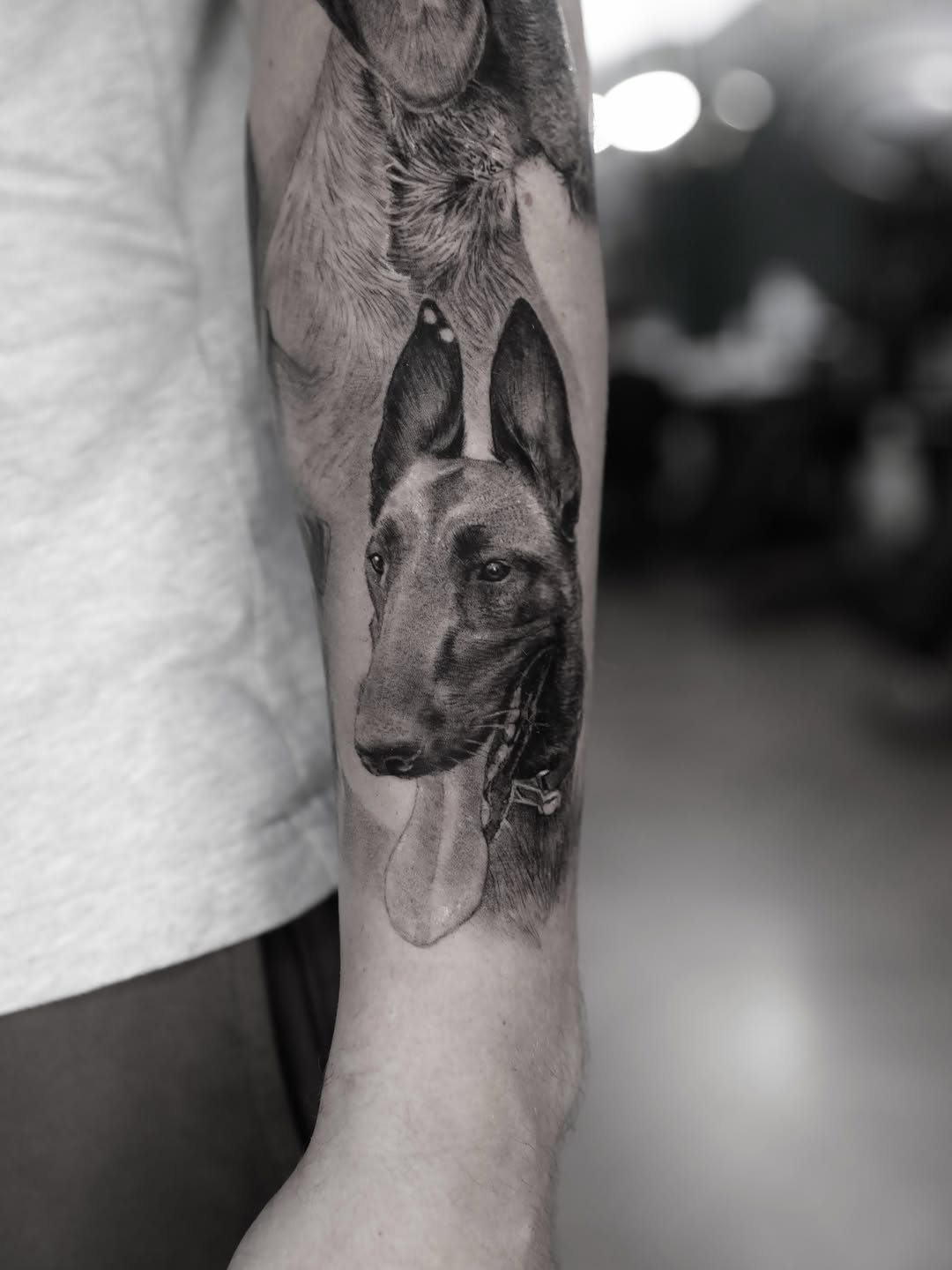 ben_tats
