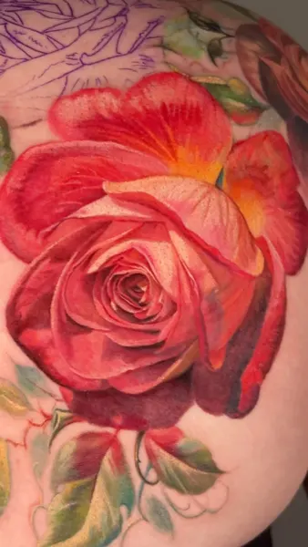 Flower, Rose