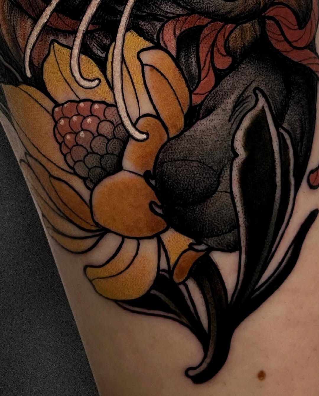 Animal, Tiger