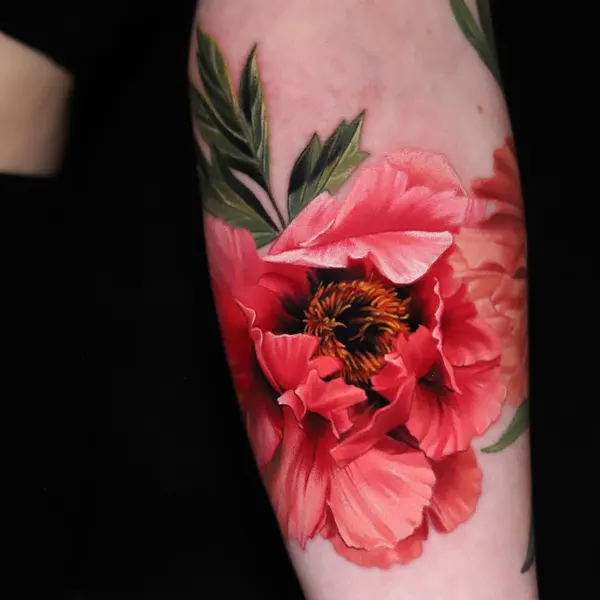 Flower, Rose