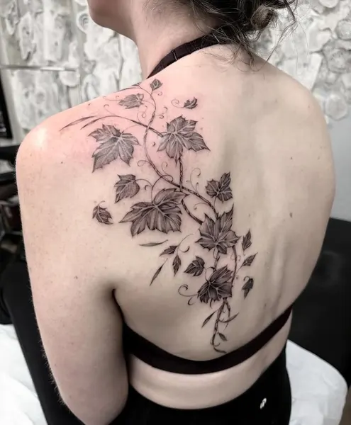 Flower, Rose, Nature