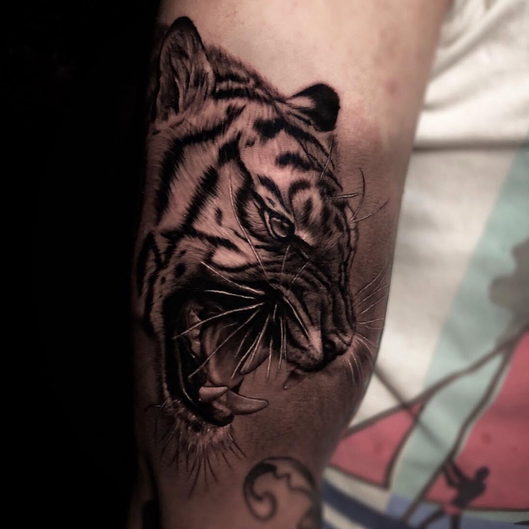 Tiger, 한국 호랑이