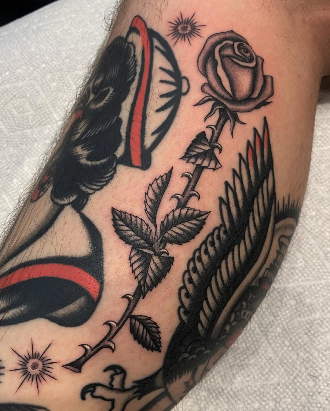 Flower, Rose