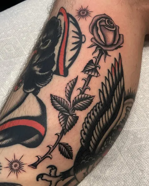 Flower, Rose