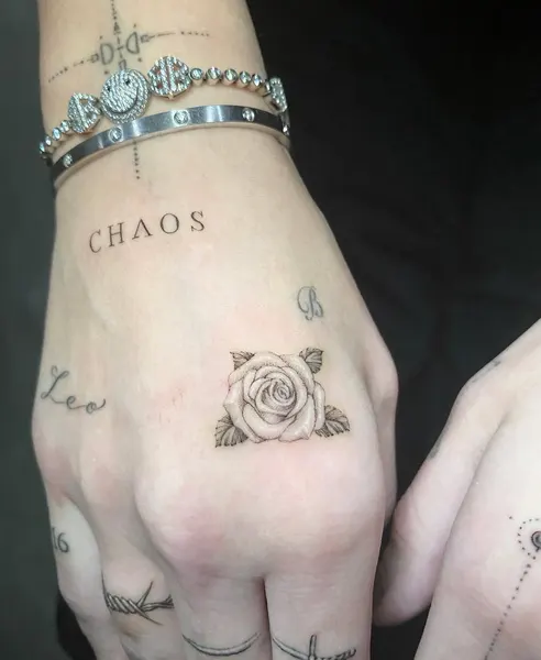 Flower, Rose